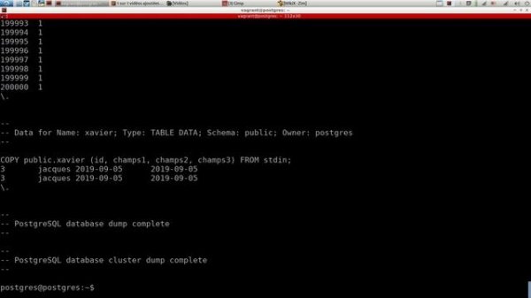 POSTGRESQL - 22. Sauvegardes : pg_dumpall