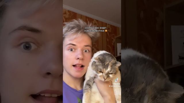 Паул либо просто паша смотреть онлайн