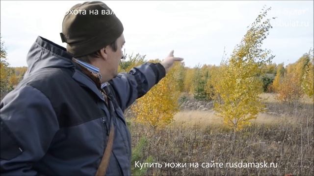 Охота на вальдшнепа на осенних высыпках. Где искать вальдшнепиные высыпки. смотреть онлайн