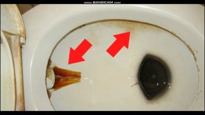 Как очистить унитаз от известкового налета и мочевого камня