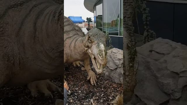 DinoPark Praha#czech #praha смотреть онлайн
