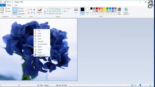 How to Invert the Colors of an Image for Word смотреть онлайн