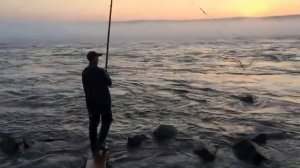 #Рыбалка на #косынку с берега методом проводки. #СИГ.#ЛЕЩ. #fishing #косынка