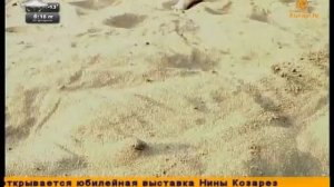 Хасан Усманов - рөхсәт итсе