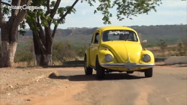 La pasión UNIVERSAL del Movimiento AIRCOOLED de Colombia смотреть онлайн
