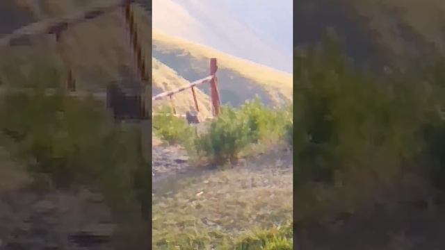 Отдых в горах с семьёй. (Источник Ак-Суу) смотреть онлайн