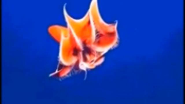 Медитация _Внутренник Ребенок_