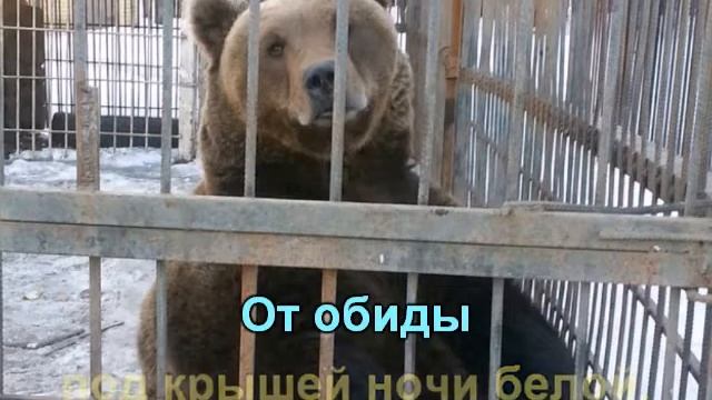 Мишка, Мишка! Где твоя улыбка? (караоке) смотреть онлайн