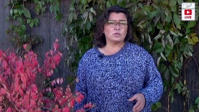 Астильба растение для тенистых уголков и не только.