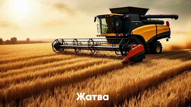 Откуда хлеб пришёл (презентация для беседы с дошкольниками) смотреть онлайн