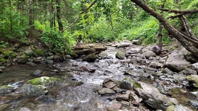 АРТЫБАШ.Экотропа Водопад ТРЕТЬЯ РЕЧКА. Туристические маршруты у оз Телецкое. смотреть онлайн