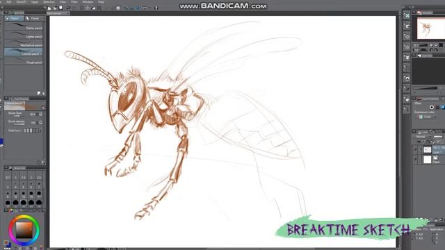 Hornet , Sketch , Huion Kamvas Gt-191 смотреть онлайн