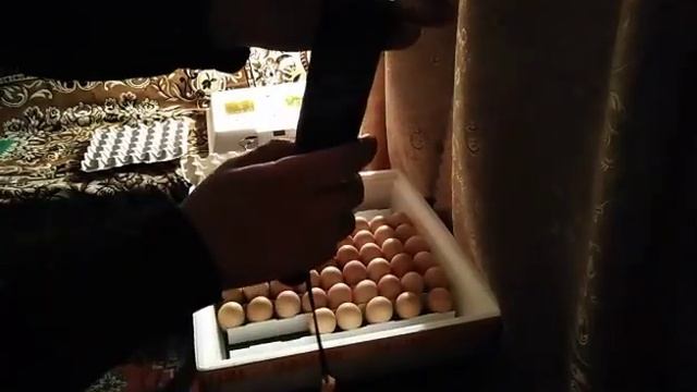 ОВОСКОП своими руками ЗА 2 МИНУТЫ смотреть онлайн