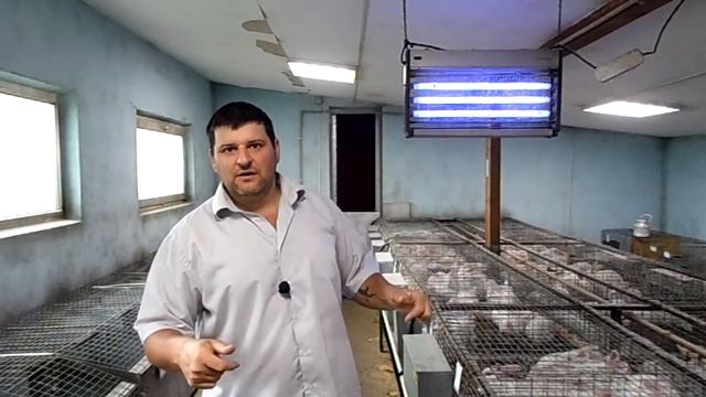 Строительный Фокус