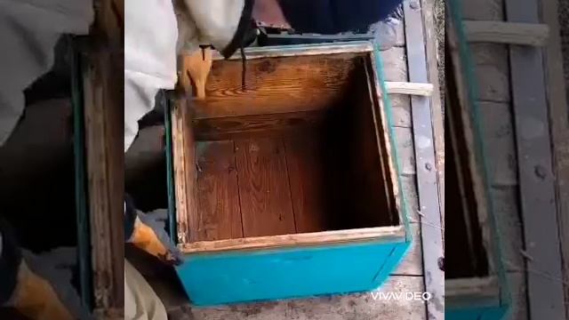 Наглядно. Процесс очистки улья от воска, старого прополиса и мусора смотреть онлайн