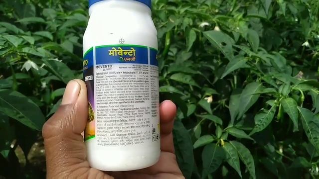 BAYER MOVENTO INSECTICIDE || Spirotetramat 11.01% Imidacloprid 11.01% || смотреть онлайн