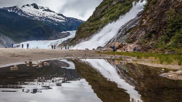 Alaska wildlife смотреть онлайн