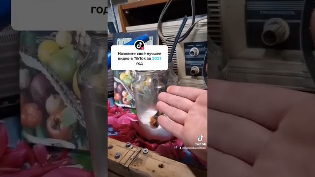 НАРОДНОЕ СРЕДСТВО ОТ ТЛИ #огород #дача #полезныесоветы #отвредителей #сад смотреть онлайн