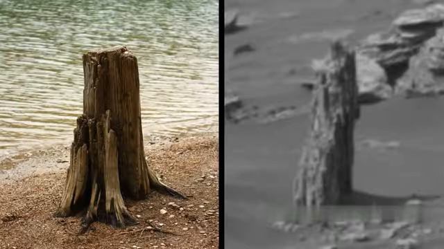 НА МАРСЕ НАШЛИ ОКАМЕНЕВШЕЕ ДЕРЕВО смотреть онлайн