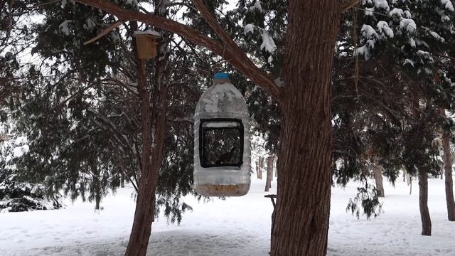 Горлицы и синицы смотреть онлайн