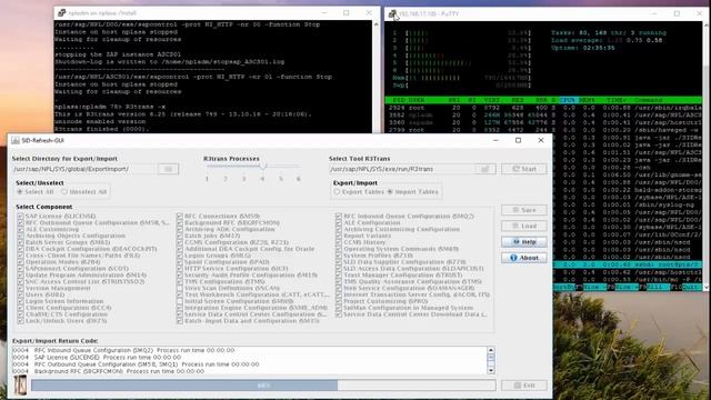 Video 2/5: SID-Refresh (SAP ABAP PCA) - Linux/Unix Import with GUI смотреть онлайн