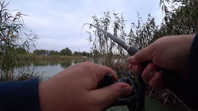 Отдохнул Рыбалка на КАРАСЯ ? УБИЙЦА КОРМАЧКИ смотреть онлайн