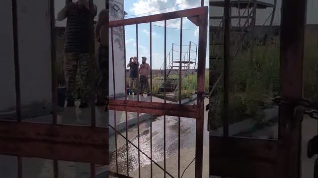 До смерти забили молотком собаку в Новомальтинске 1 смотреть онлайн