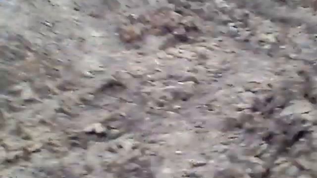 Дизелист Митя смотреть онлайн