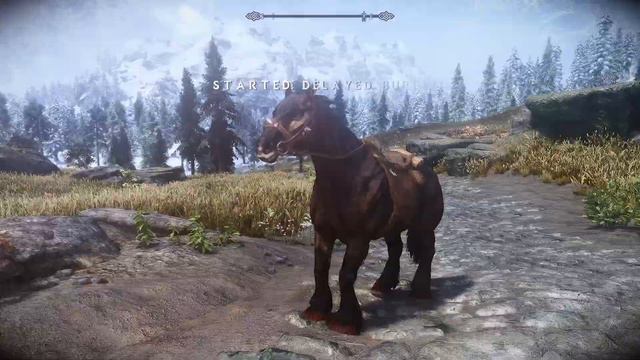 Skyrim Elysium Modded Roleplay (Is It A Bird? A Mage? No It's A Dragon) смотреть онлайн