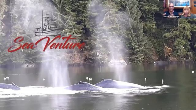 Waggoner Cruising Guide / NMTA Webinar with the crew of Sea Venture EP 79 смотреть онлайн