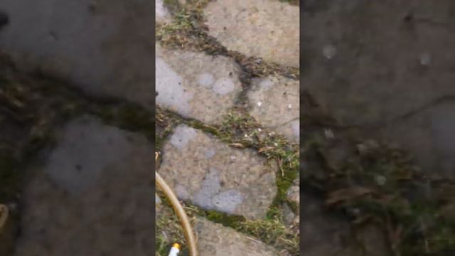 How to top up Additive fluid (Tank) on Peugeot 1.6 hdi 308 2012