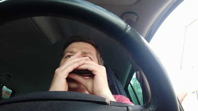 Соловьиная роща ♫ на губной гармошке смотреть онлайн