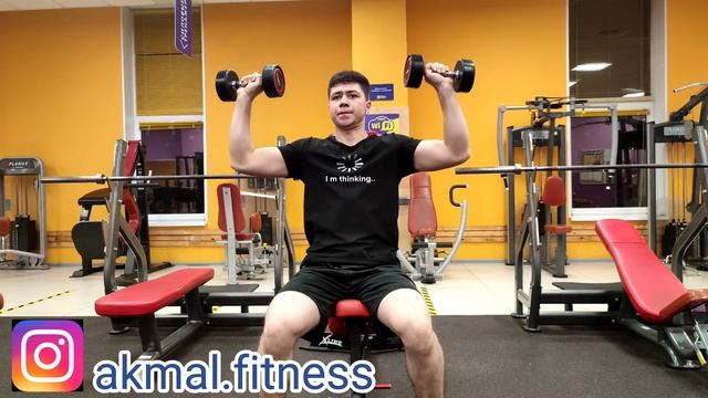 Жим гантели сидя - техника выполнения смотреть онлайн