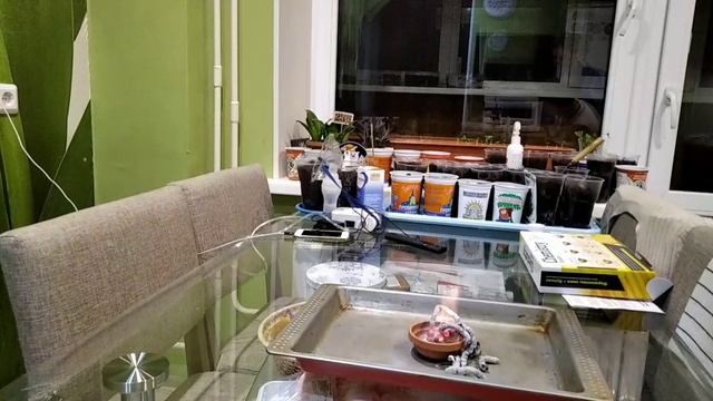 в Бобровнике с Кириллом