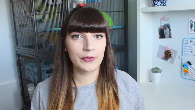 10 COMMON RAT CARE MISTAKES! смотреть онлайн