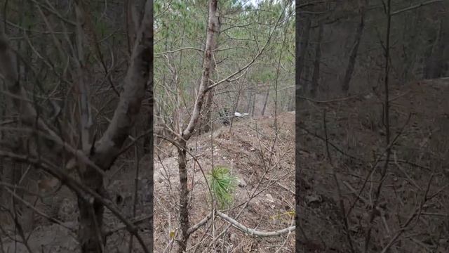 Крым  эндуро, змеинка