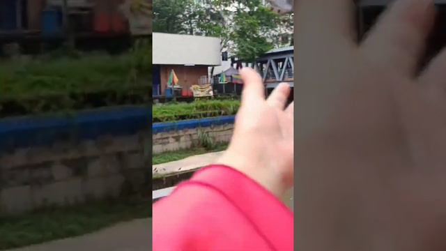 Burung merpati dipinggiran sungai di jalan Masjid India смотреть онлайн