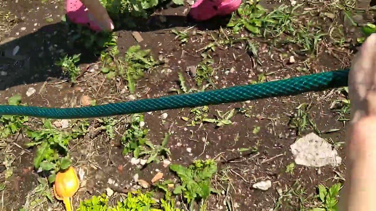 ASMR #wet смотреть онлайн