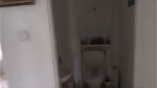 VIDEO VM 230