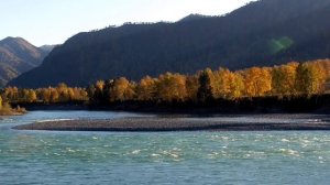 Исцеляющие мысли от всех болезней, старости и смерти Для женщин Сытин Г.Н.