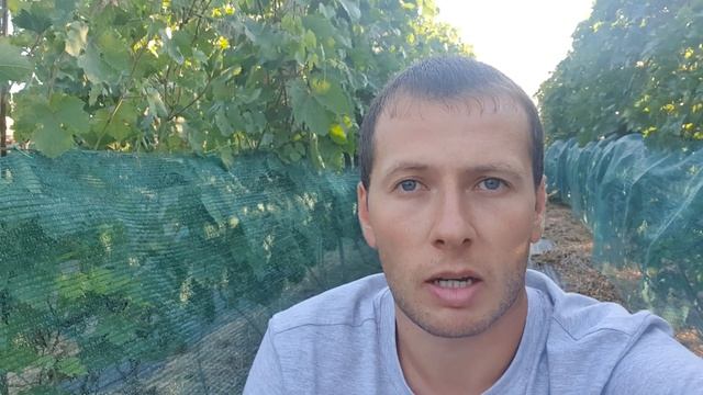 Мовний закон 16 липня 2022 року смотреть онлайн