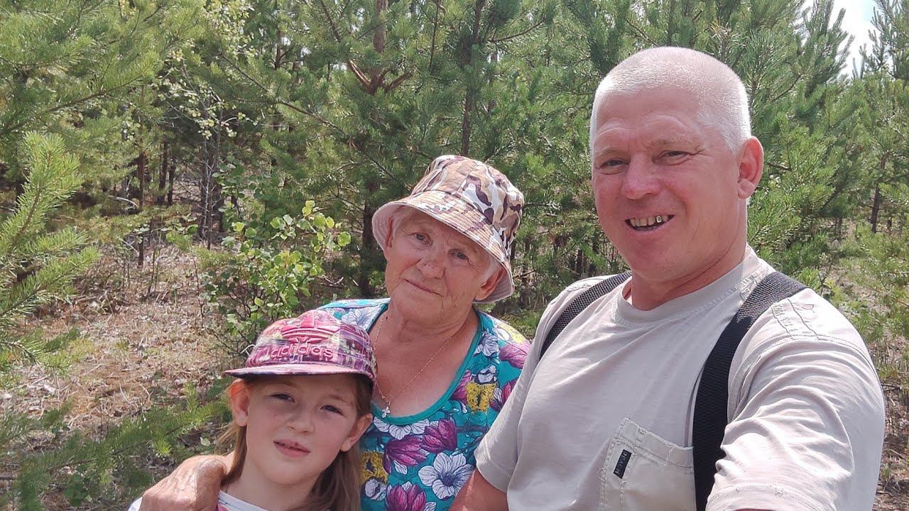 Разведка грибов Лесная прогулка по грибным местам смотреть онлайн