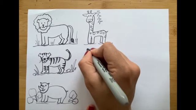 How to draw wild animals in easy steps for kids смотреть онлайн