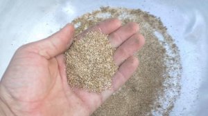 Как просеять амарант