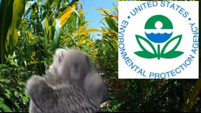 Poxy vs Monsanto Not Big Cooperation but Big Central Government смотреть онлайн