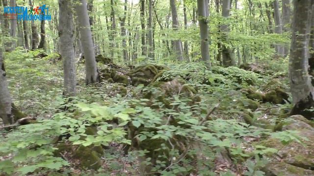 39 Царь Гора Прогулки по дну океана Ставропольское дно смотреть онлайн