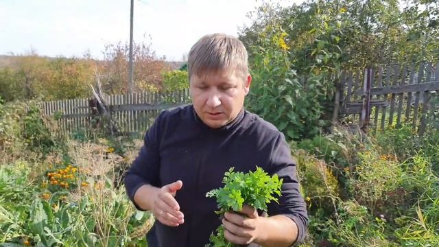 Быстрая уха на природе. Рецепт от Волхонского. смотреть онлайн
