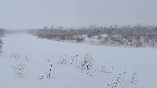 Прогулка пешком по зимнему лесу смотреть онлайн