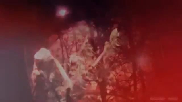 Короткое видео о зоопарке в океанариуме Дубай мол смотреть онлайн