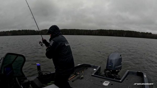 PANOPTIX. Охота на трофей. Визуальное наслаждение.